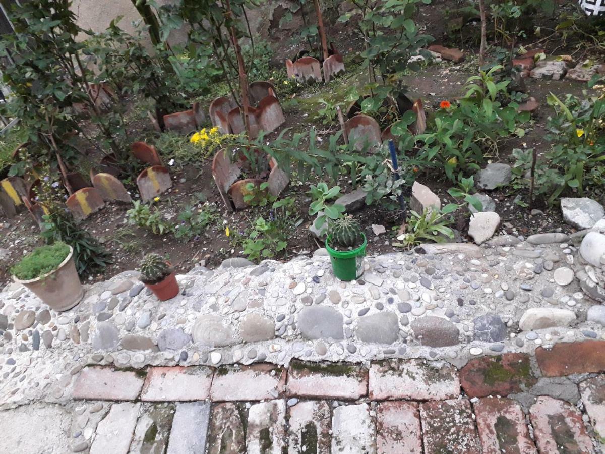 דירות טביליסי Cozy House II מראה חיצוני תמונה