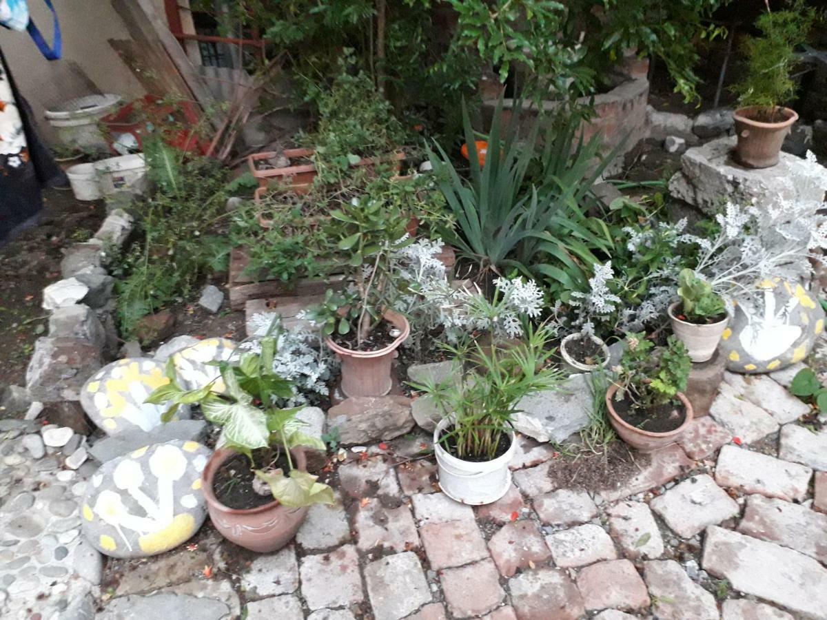 דירות טביליסי Cozy House II מראה חיצוני תמונה